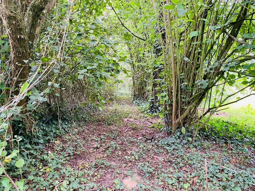 Ar Merglet - Grande Longere Authentique En Broceliande Maxent Holiday home